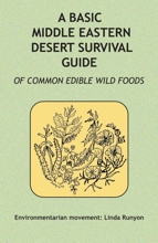 Middle Eastern Desert Survival Guide